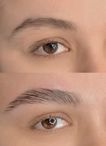 Full Brows Therapy